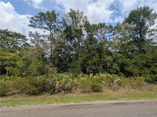 1 Acre of Residential Land for Sale in Crystal River, Florida