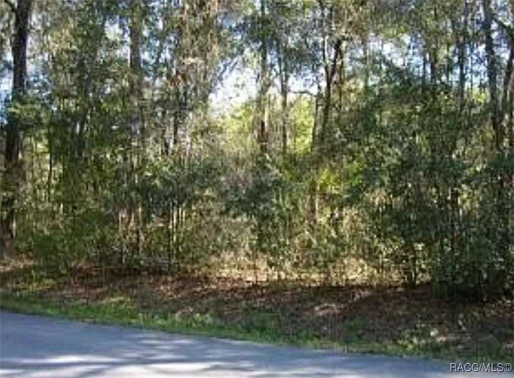 0.31 Acres of Residential Land for Sale in Inverness, Florida