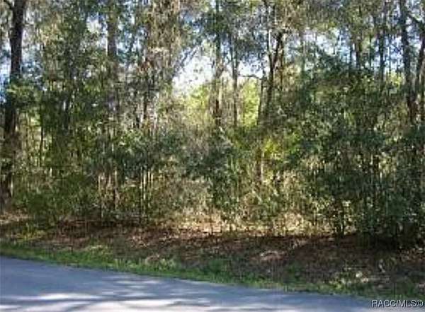 0.31 Acres of Residential Land for Sale in Inverness, Florida