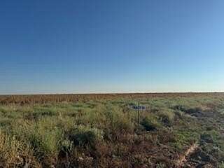 20 Acres of Land for Sale in Shallowater, Texas