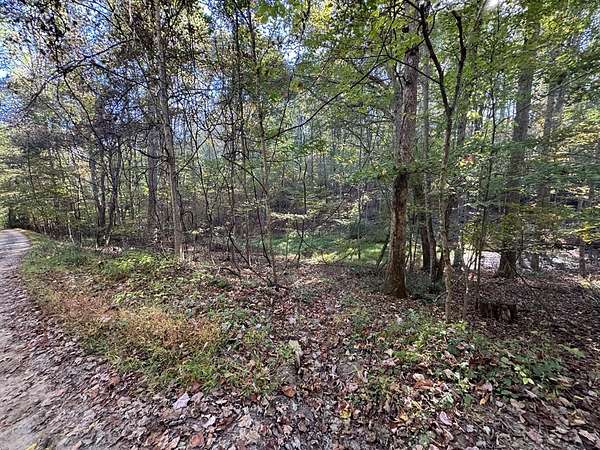 Residential Land for Sale in Lester, West Virginia