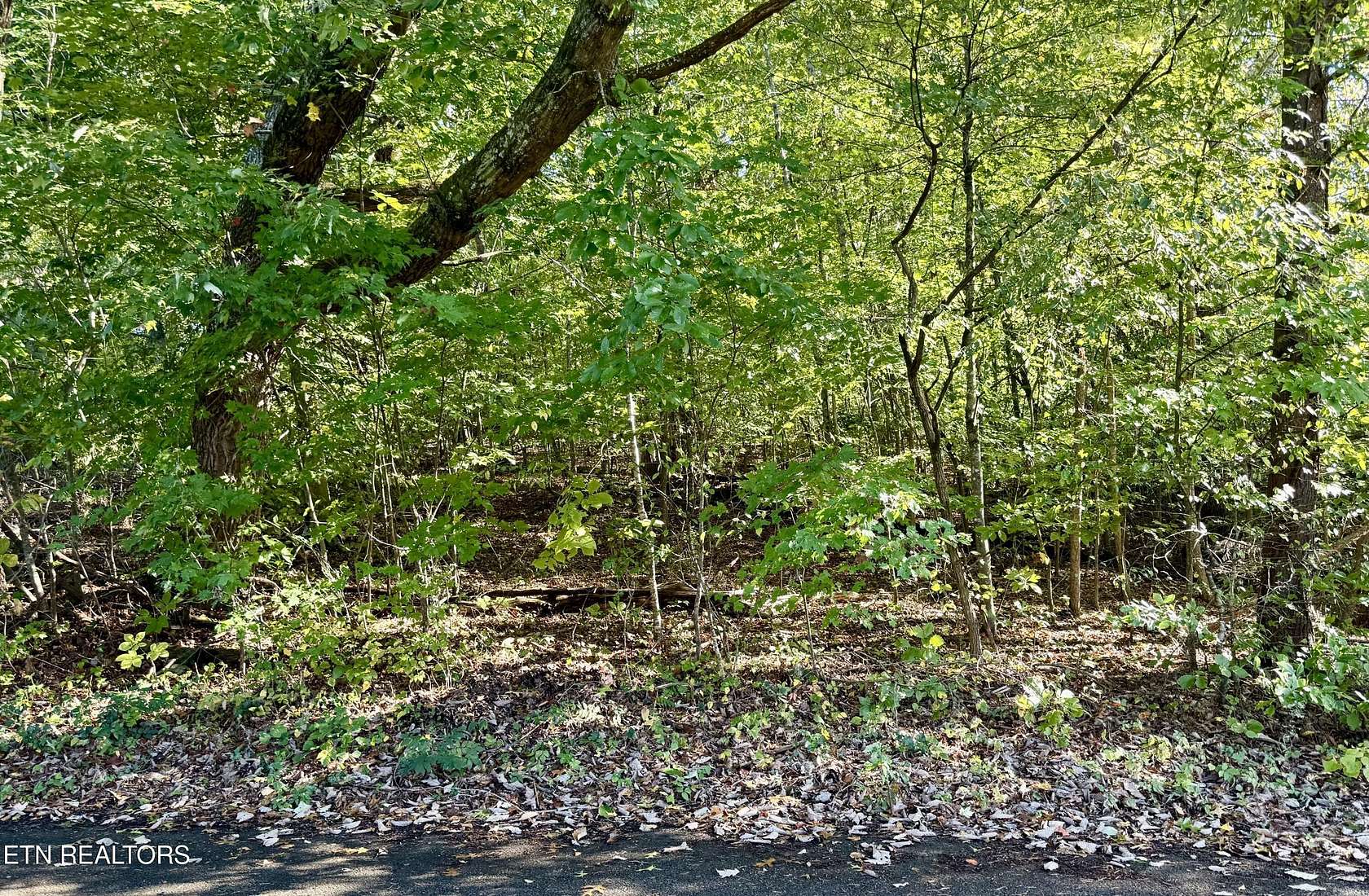 0.5 Acres of Residential Land for Sale in Harrogate, Tennessee