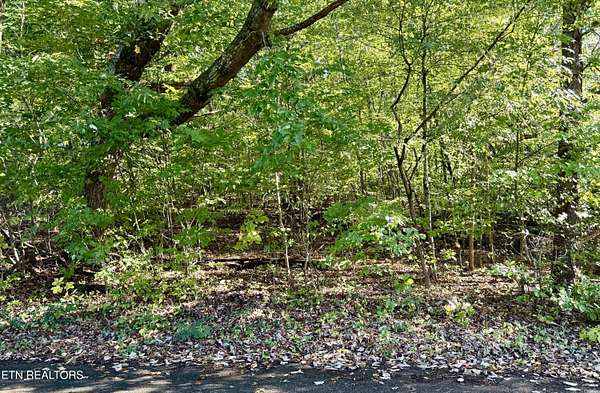 0.5 Acres of Residential Land for Sale in Harrogate, Tennessee