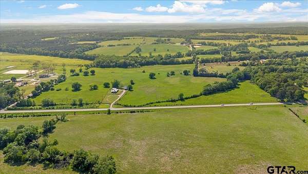 52.4 Acres of Agricultural Land for Sale in Troup, Texas