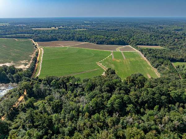 69 Acres of Recreational Land & Farm for Auction in Hartsfield, Georgia