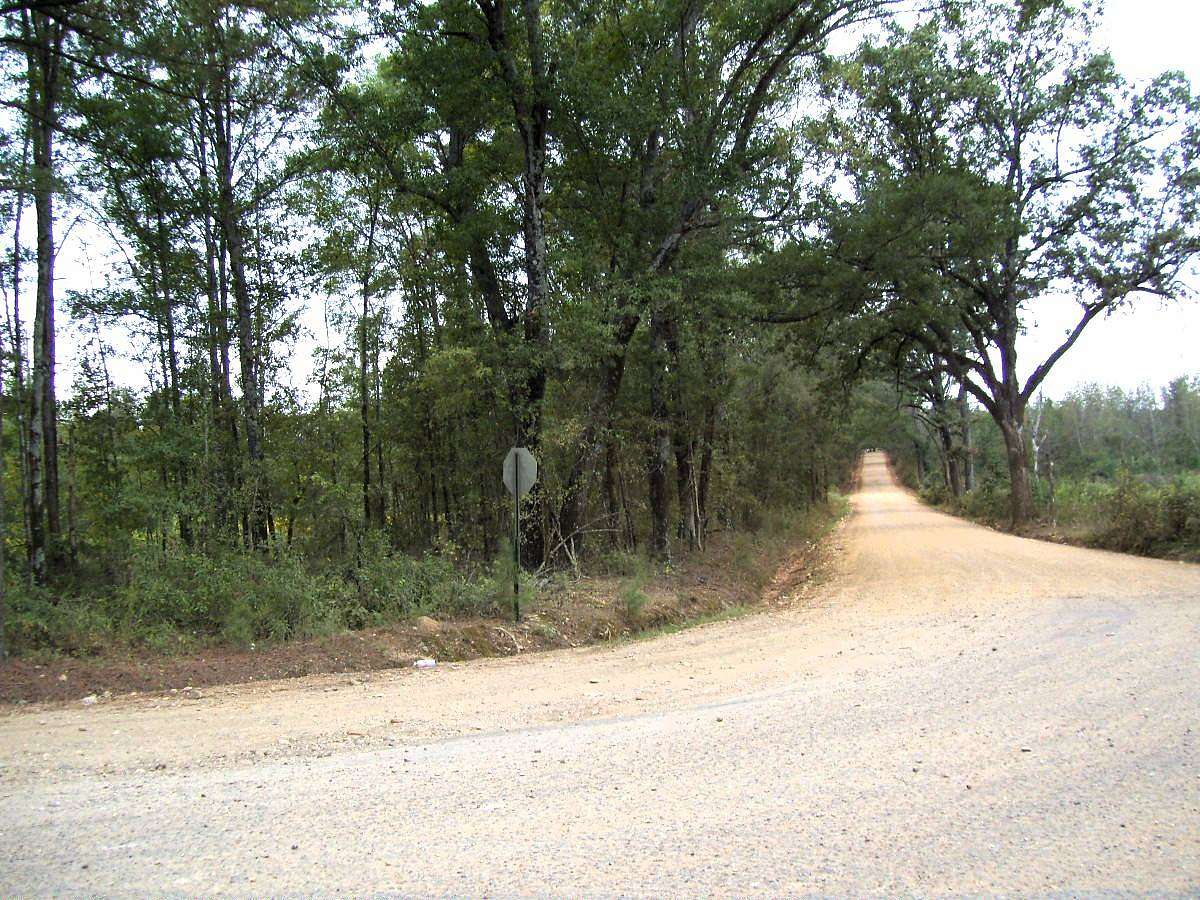 54.3 Acres of Recreational Land for Sale in Foreman, Arkansas