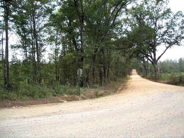 54.3 Acres of Recreational Land for Sale in Foreman, Arkansas