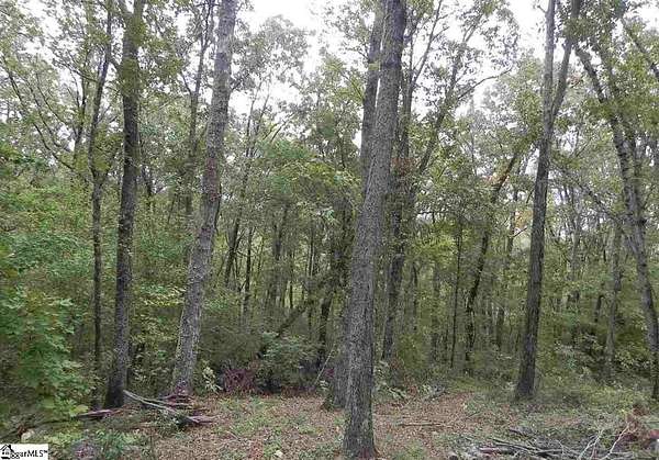 2.6 Acres of Residential Land for Sale in Landrum, South Carolina