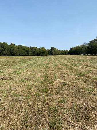 8.36 Acres of Residential Land for Sale in Mount Juliet, Tennessee