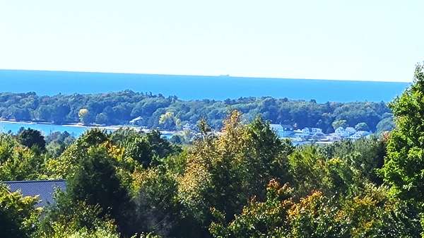 1 Acre of Land for Sale in Onekama, Michigan