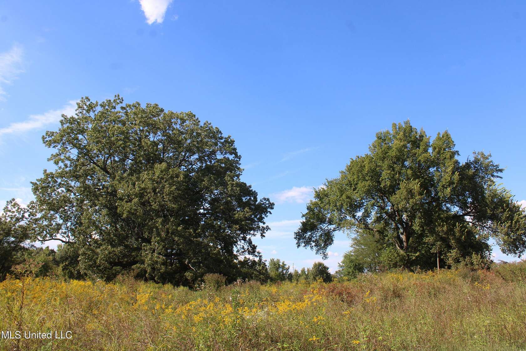 158 Acres of Agricultural Land for Sale in Walls, Mississippi