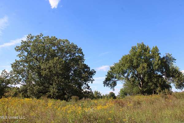 158 Acres of Agricultural Land for Sale in Walls, Mississippi