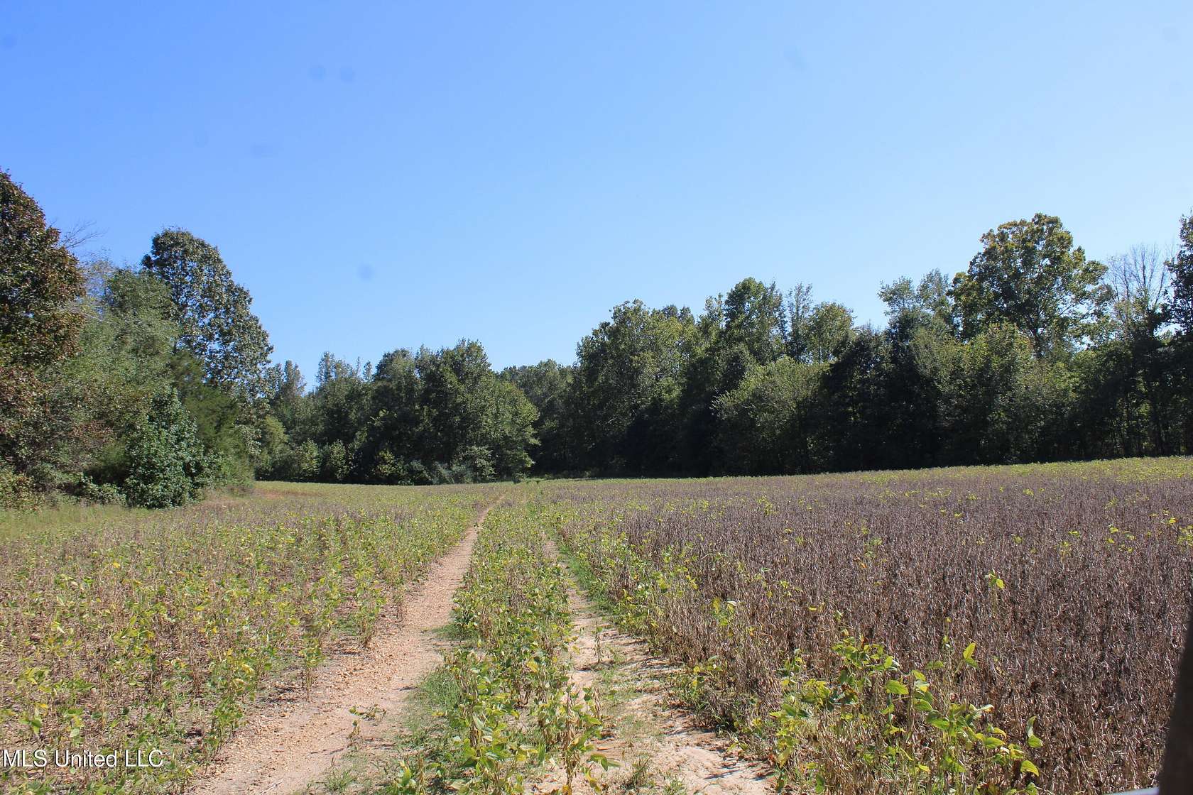1,168 Acres of Land for Sale in Byhalia, Mississippi
