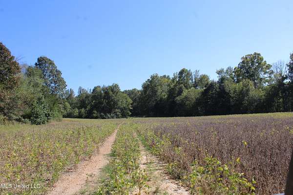 1,168 Acres of Land for Sale in Byhalia, Mississippi