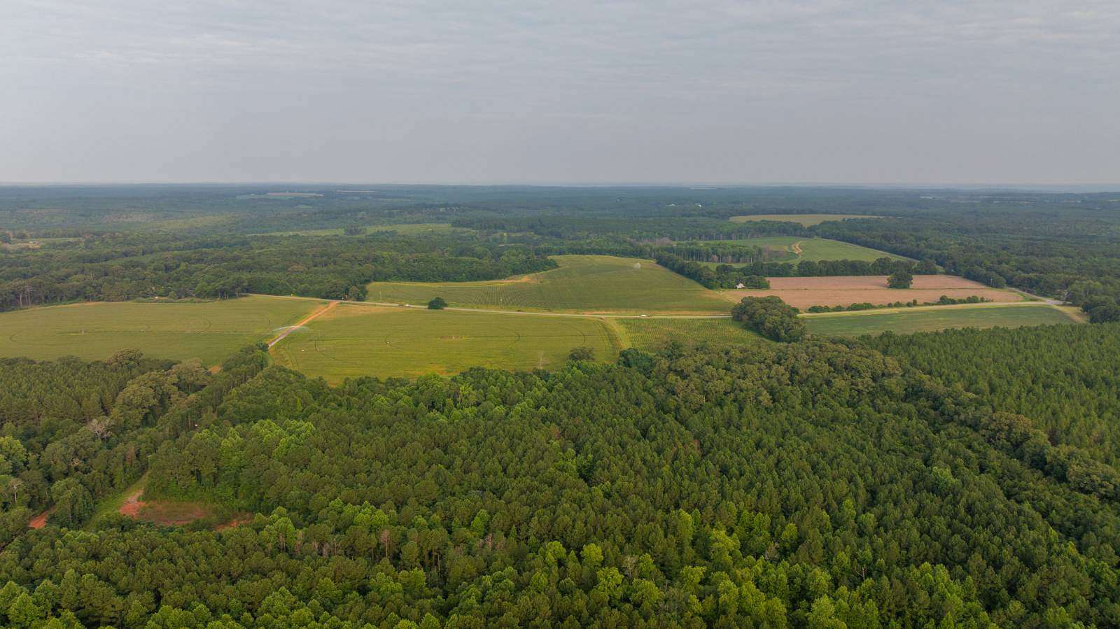 61 Acres of Land for Sale in Brooksville, Georgia