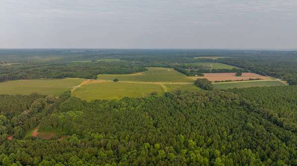 61 Acres of Land for Sale in Brooksville, Georgia