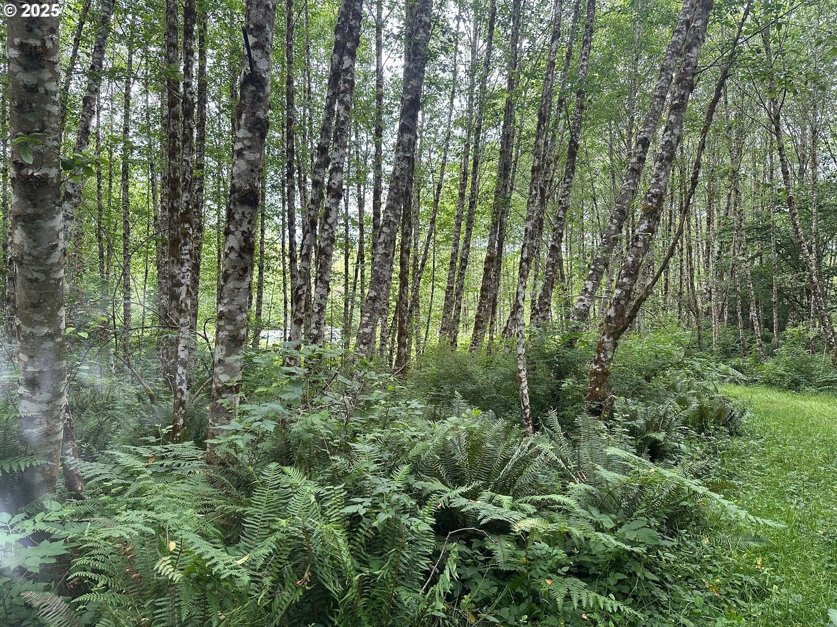 10 Acres of Residential Land for Sale in Longview, Washington