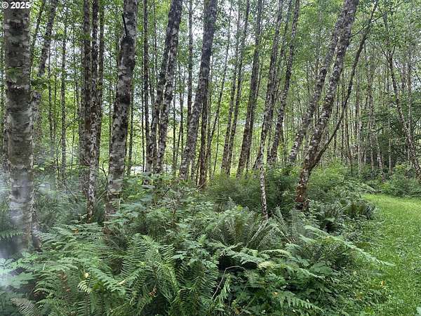 10 Acres of Residential Land for Sale in Longview, Washington