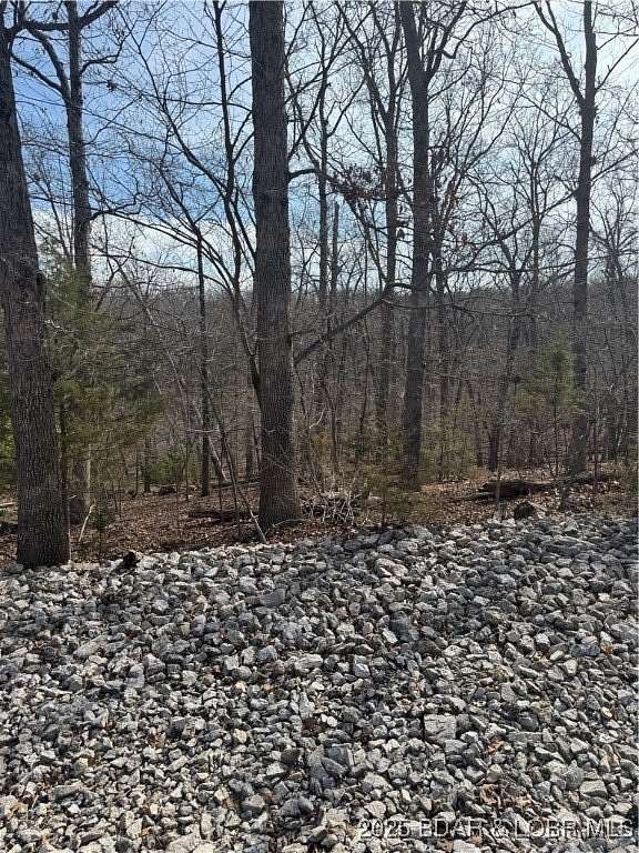 0.45 Acres of Residential Land for Sale in Village of Four Seasons, Missouri