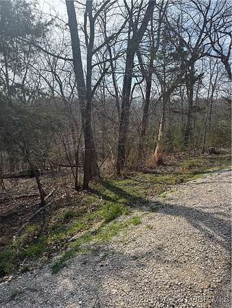 0.3 Acres of Residential Land for Sale in Village of Four Seasons, Missouri