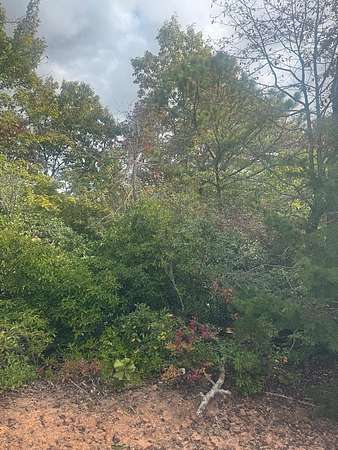 0.26 Acres of Residential Land for Sale in Clayton, Georgia