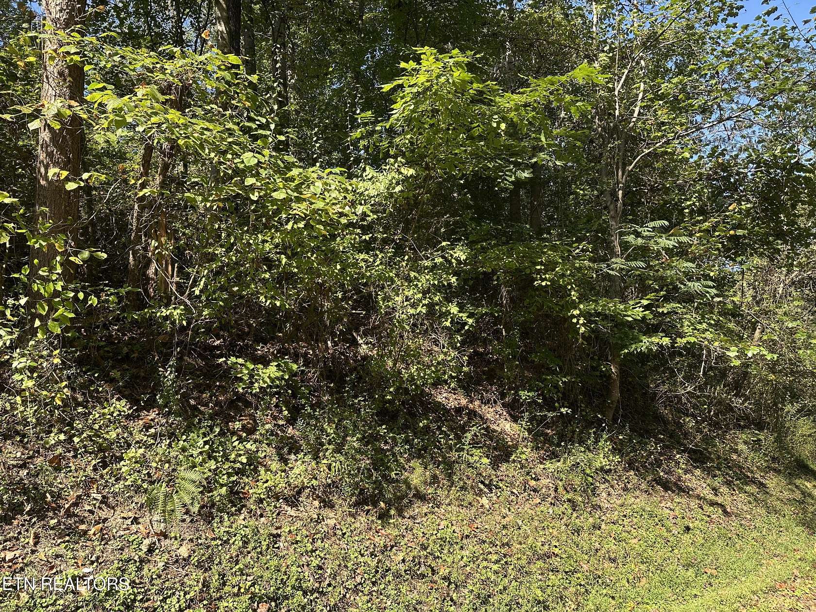 0.2 Acres of Residential Land for Sale in La Follette, Tennessee