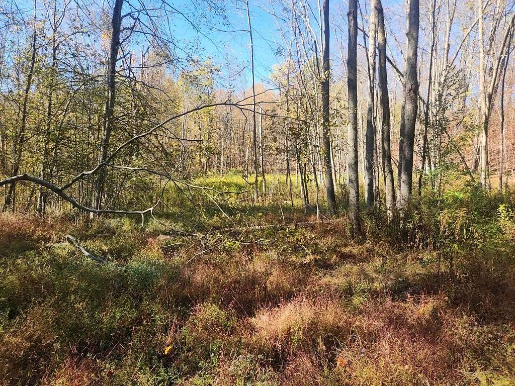 33.8 Acres of Recreational & Residential Land for Sale in New Albany, Pennsylvania
