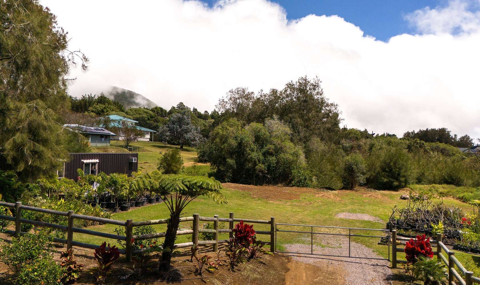 1 Acre of Land for Sale in Waimea, Hawaii