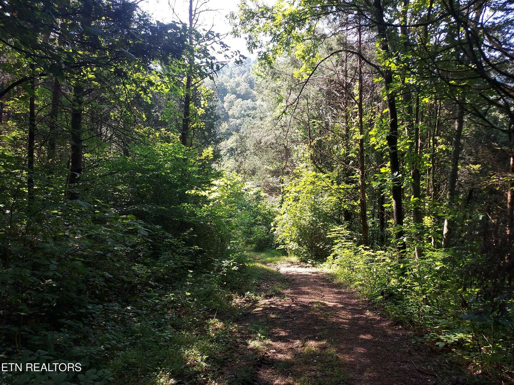 92 Acres of Recreational Land for Sale in Thorn Hill, Tennessee