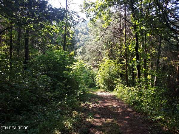 92 Acres of Recreational Land for Sale in Thorn Hill, Tennessee