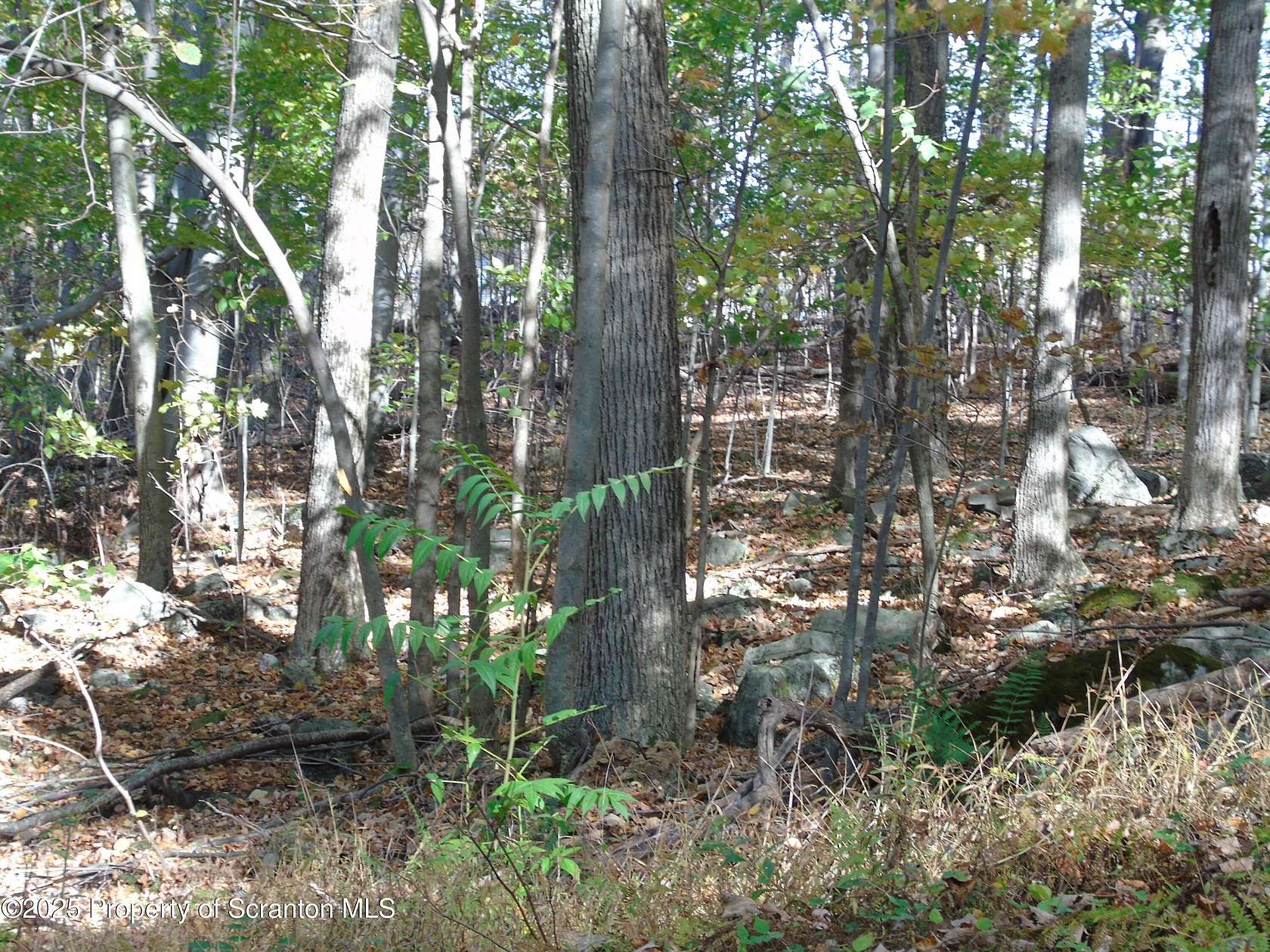 0.68 Acres of Residential Land for Sale in Spring Brook Township, Pennsylvania