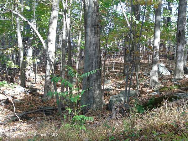 0.68 Acres of Residential Land for Sale in Spring Brook Township, Pennsylvania