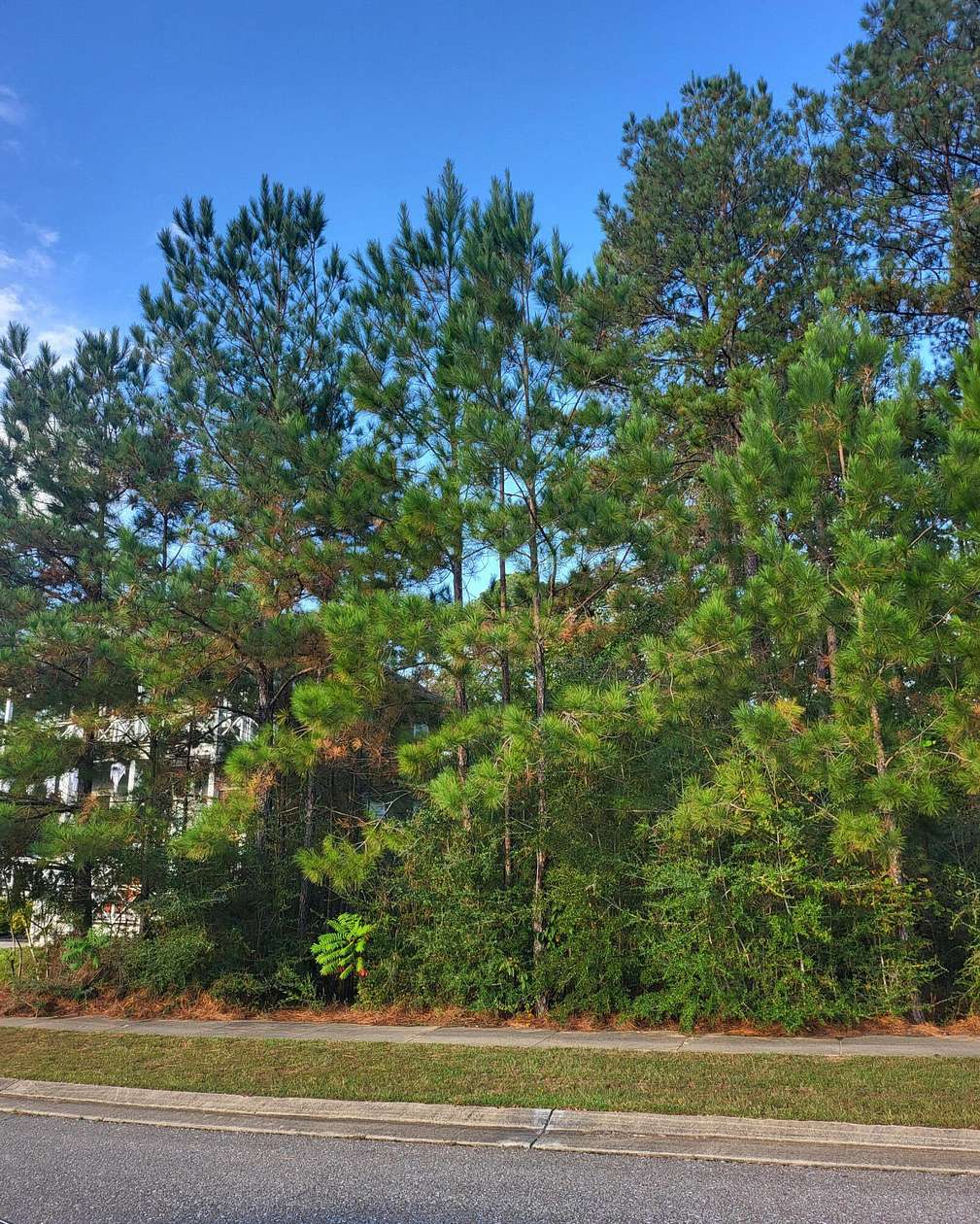 0.41 Acres of Residential Land for Sale in Hattiesburg, Mississippi