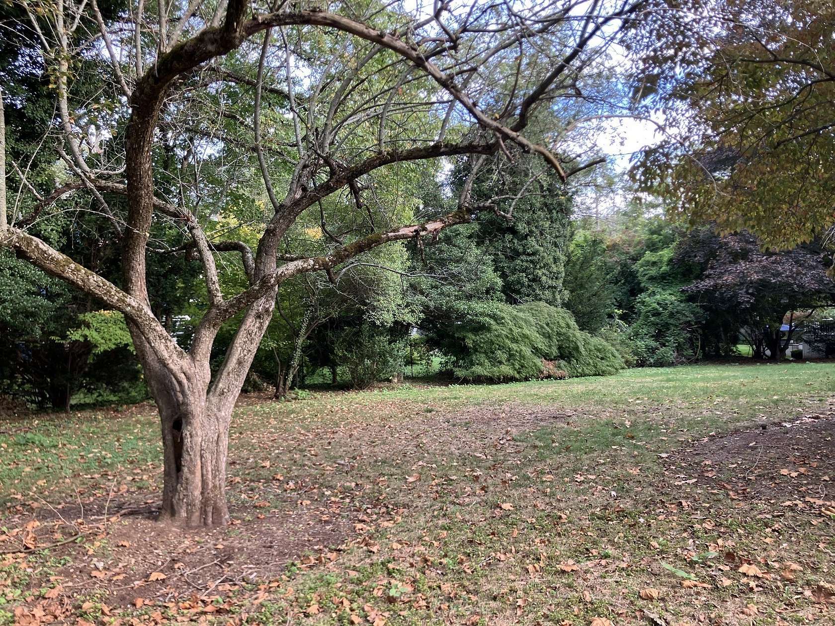 0.4 Acres of Land for Sale in Brookline, Massachusetts