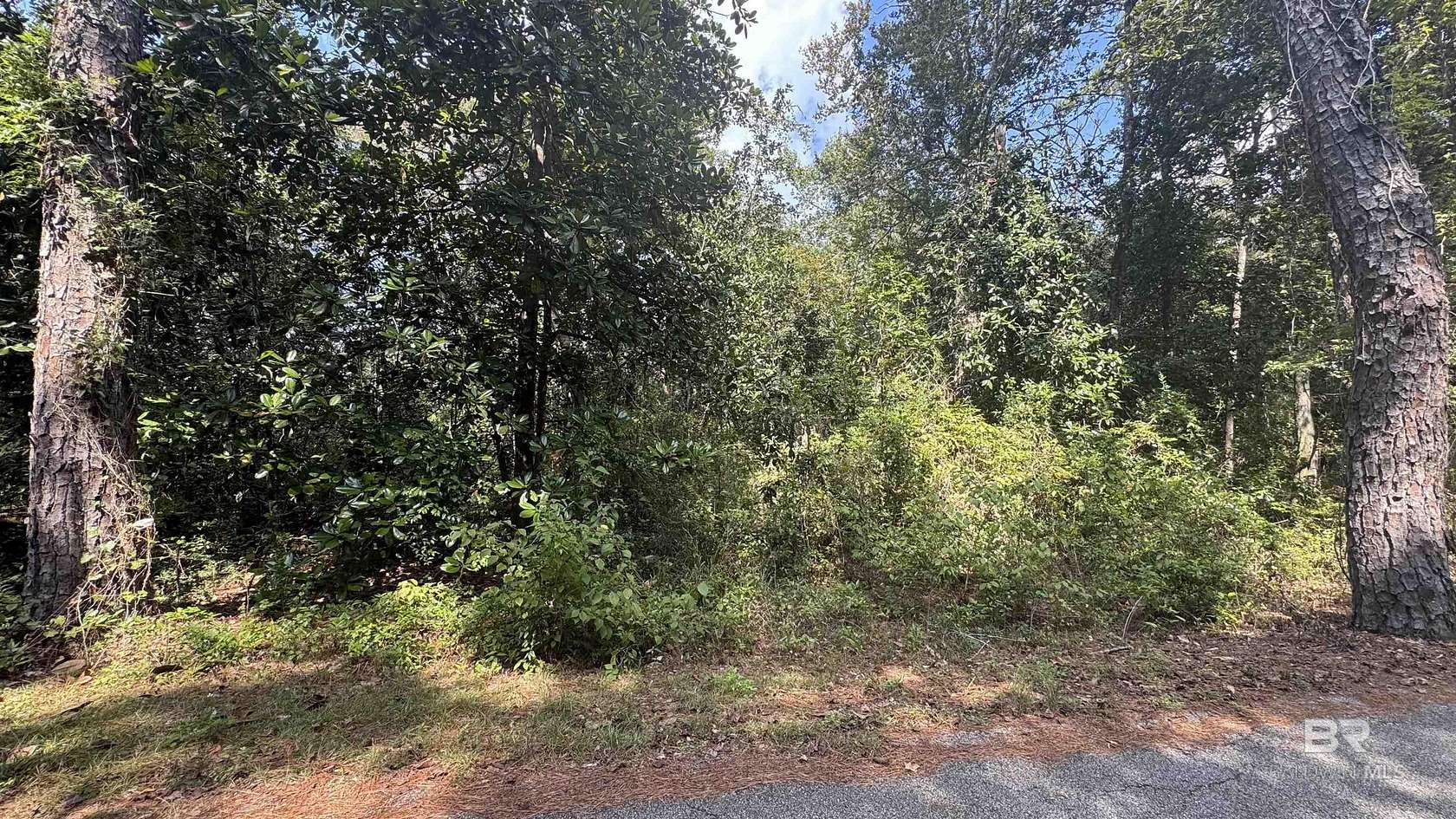 0.55 Acres of Residential Land for Sale in Foley, Alabama
