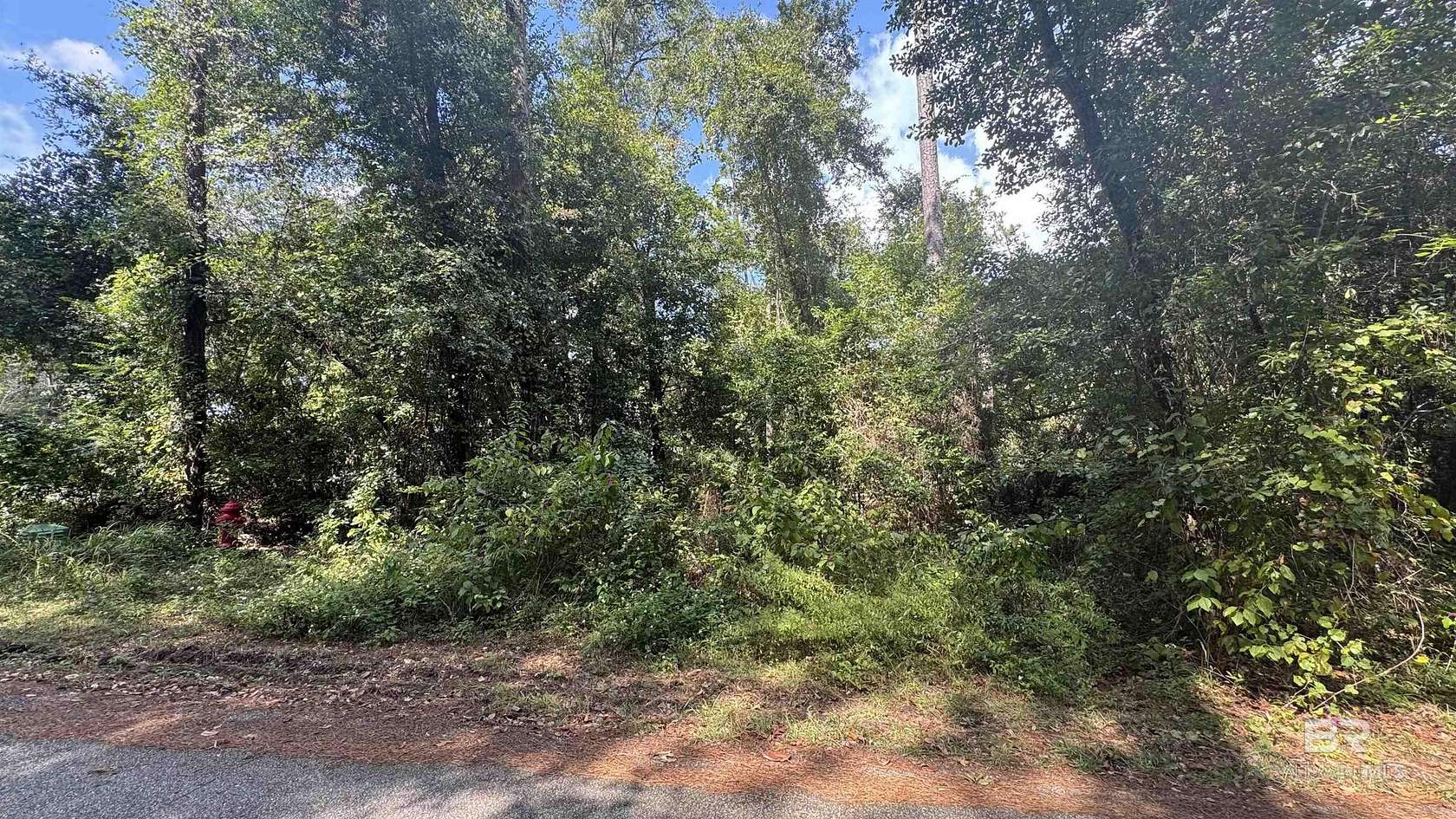0.56 Acres of Residential Land for Sale in Foley, Alabama
