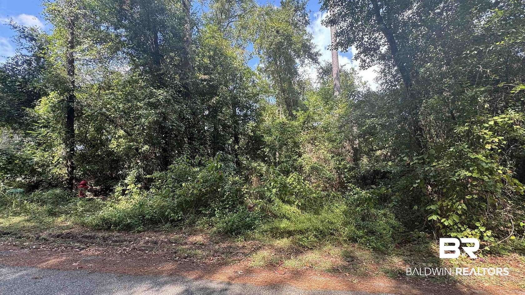0.56 Acres of Residential Land for Sale in Foley, Alabama