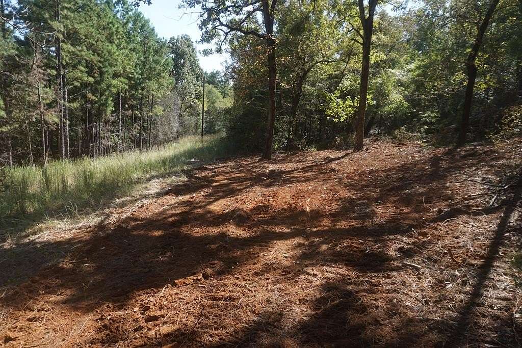 14 Acres of Recreational Land for Sale in Palestine, Texas