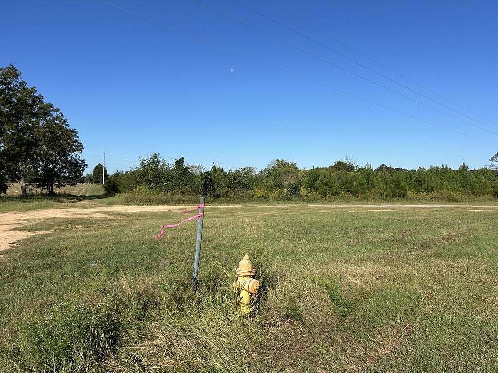 20 Acres of Recreational & Residential Land for Sale in Abbeville, Alabama