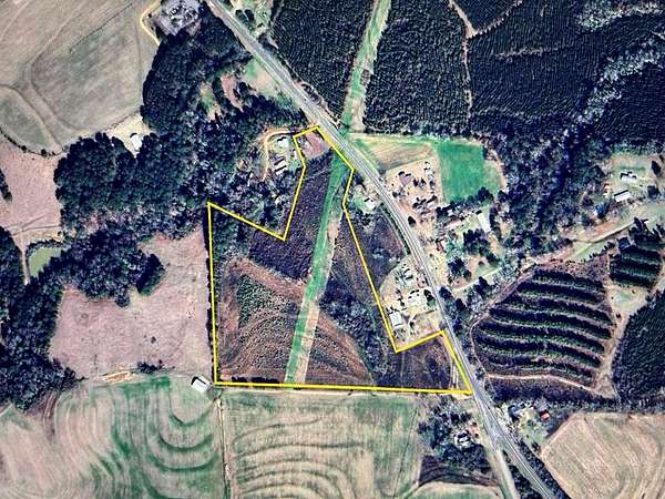 20 Acres of Recreational Land for Sale in Abbeville, Alabama