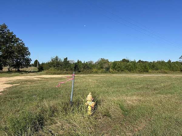 20 Acres of Recreational & Residential Land for Sale in Abbeville, Alabama
