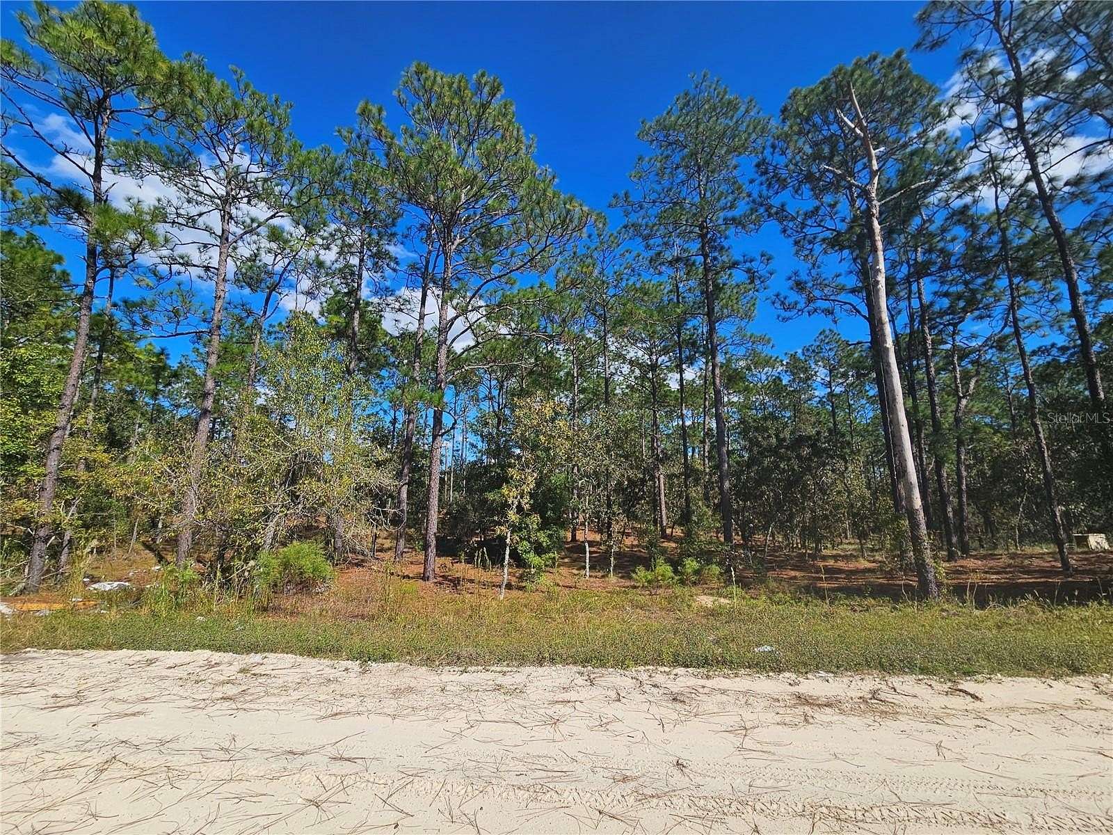 1.25 Acres of Residential Land for Sale in Morriston, Florida
