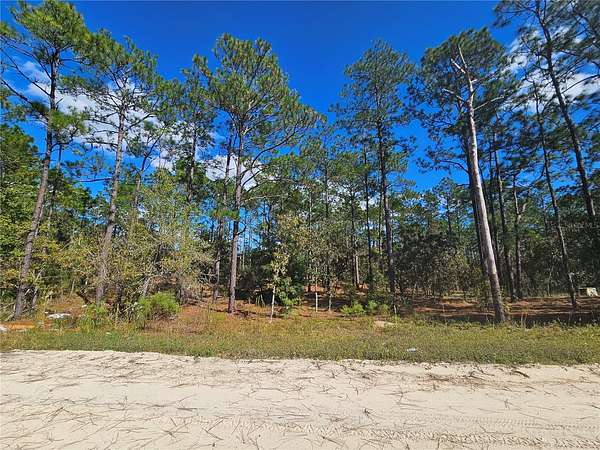 1.25 Acres of Residential Land for Sale in Morriston, Florida
