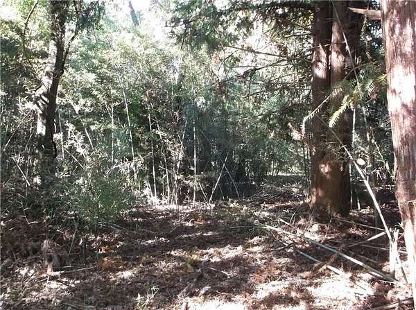 50 Acres of Recreational Land for Sale in Irvington, Alabama