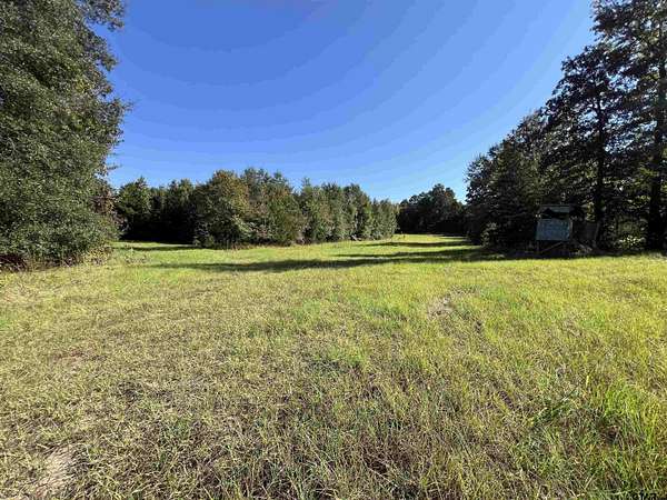 62 Acres of Recreational Land for Sale in Avinger, Texas