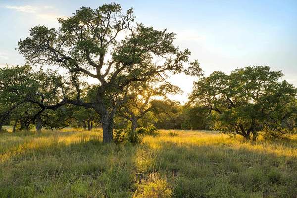 10.2 Acres of Land for Sale in Blanco, Texas