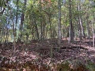 0.46 Acres of Residential Land for Sale in Ellijay, Georgia