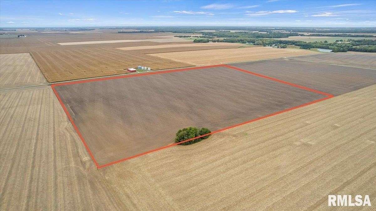 50 Acres of Agricultural Land for Sale in Edinburg, Illinois