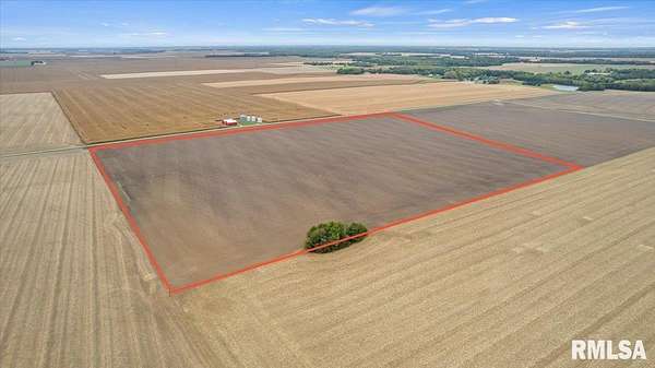 50 Acres of Agricultural Land for Sale in Edinburg, Illinois