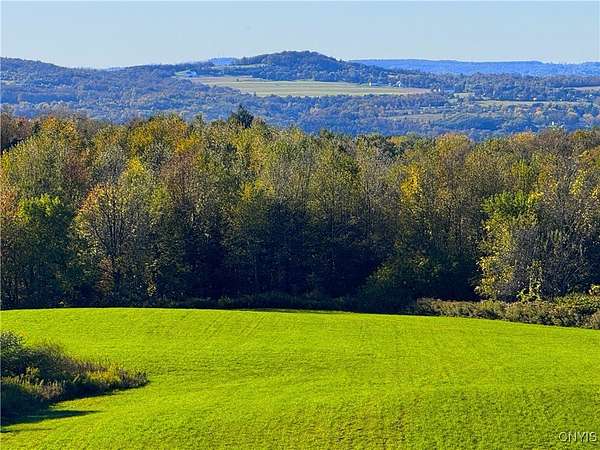 38 Acres of Land for Sale in Frankfort, New York